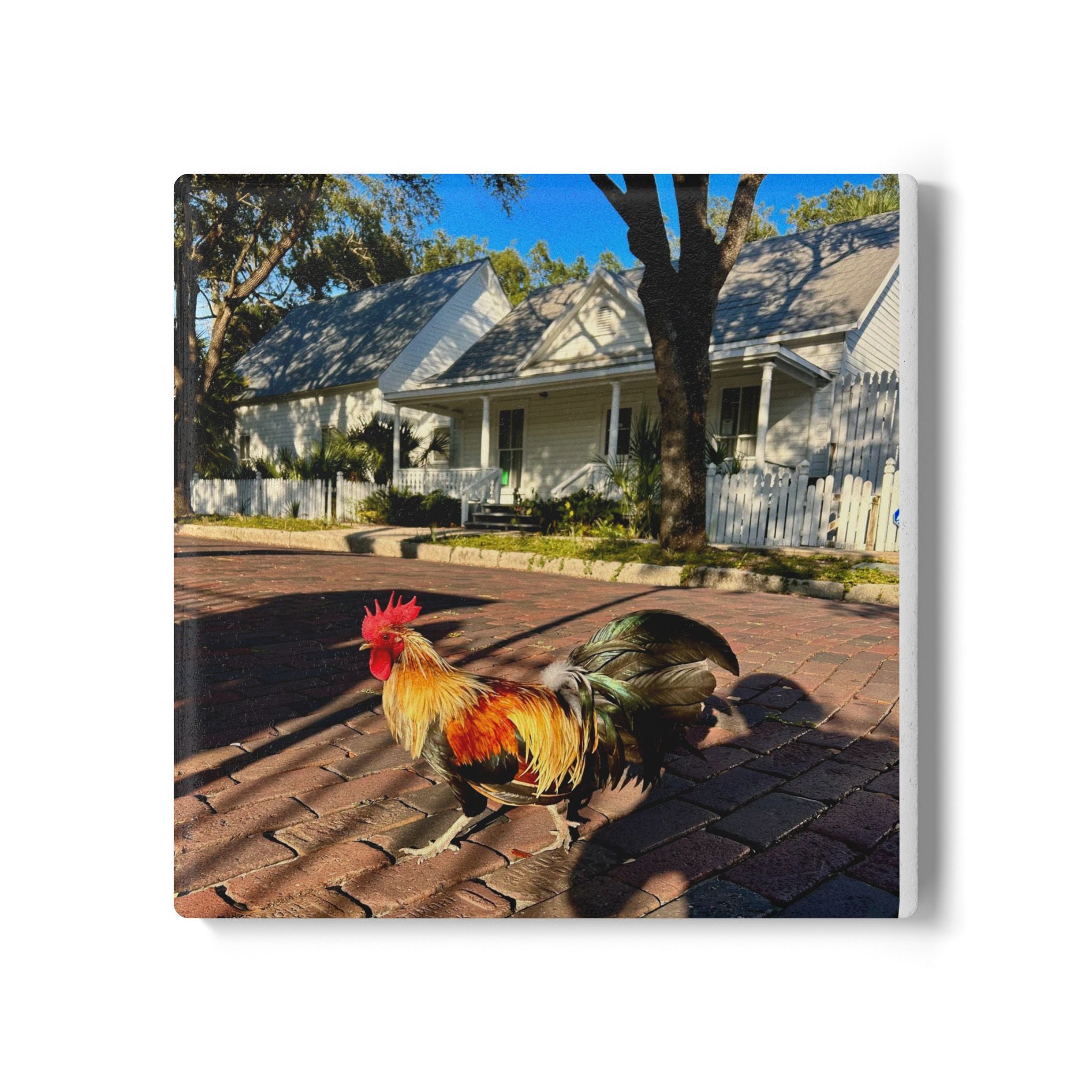 “Ybor Neighborhood Roosters” Coaster