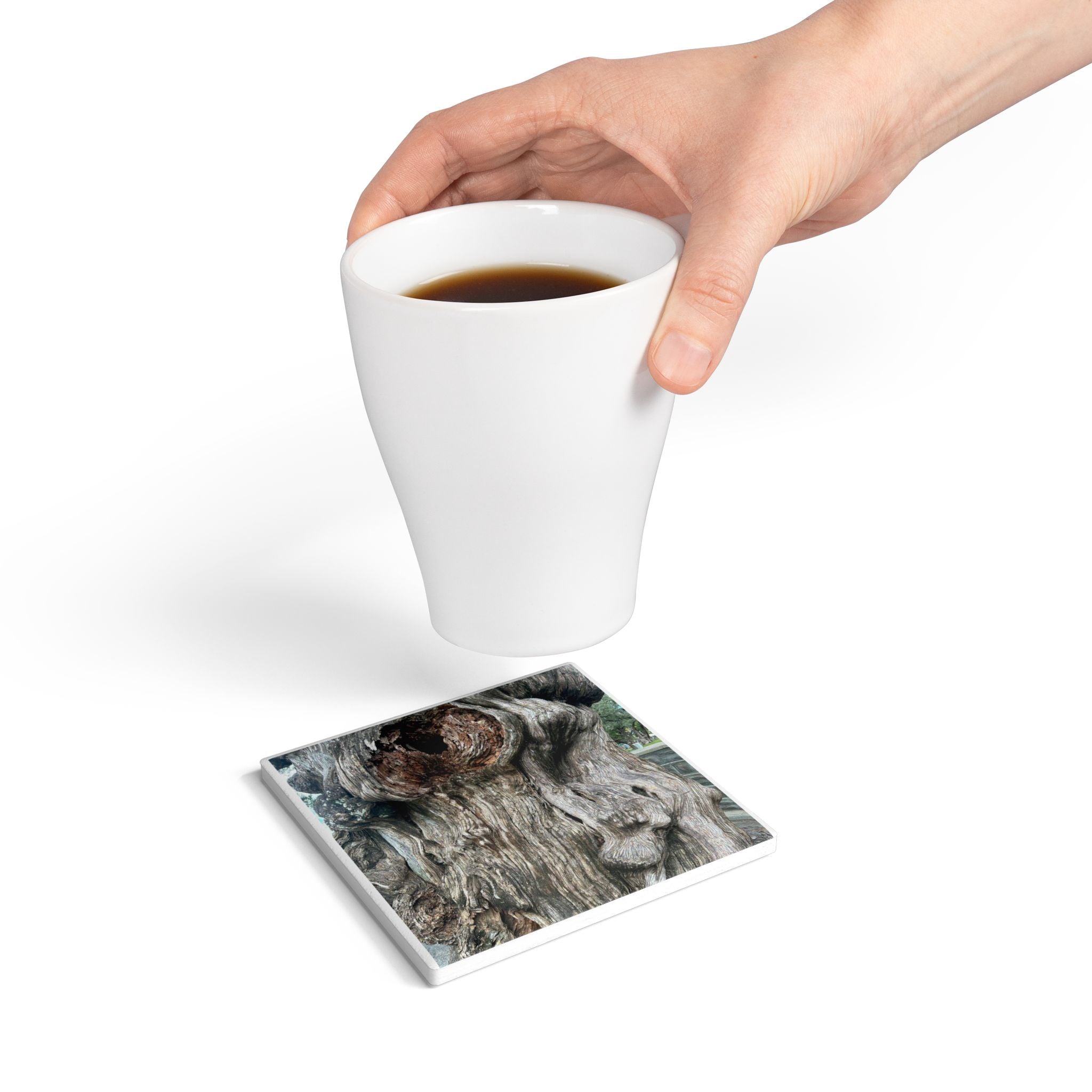 “The Heart of Tampa Tree” Coaster
