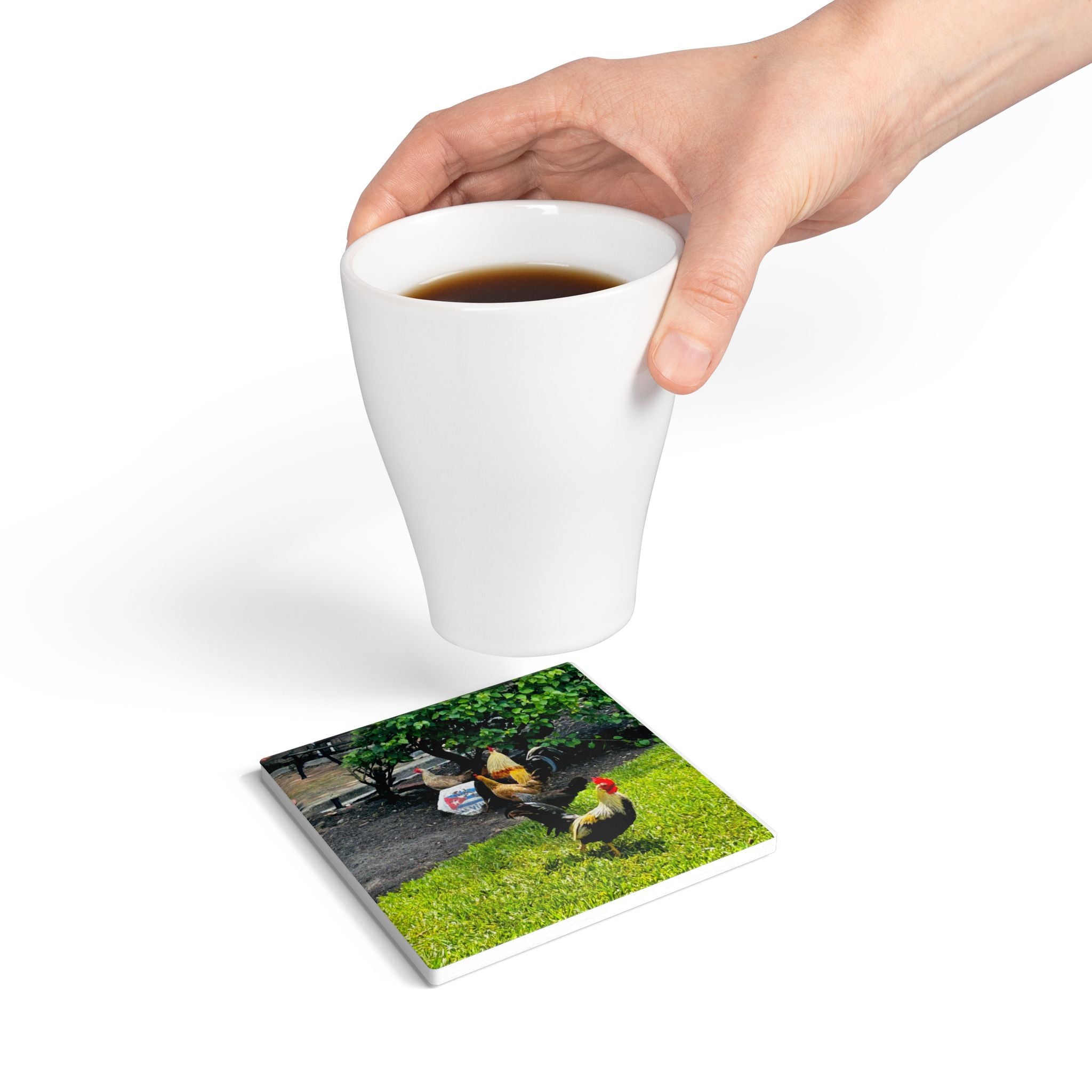 “Ybor Roosters at Rest” Coaster