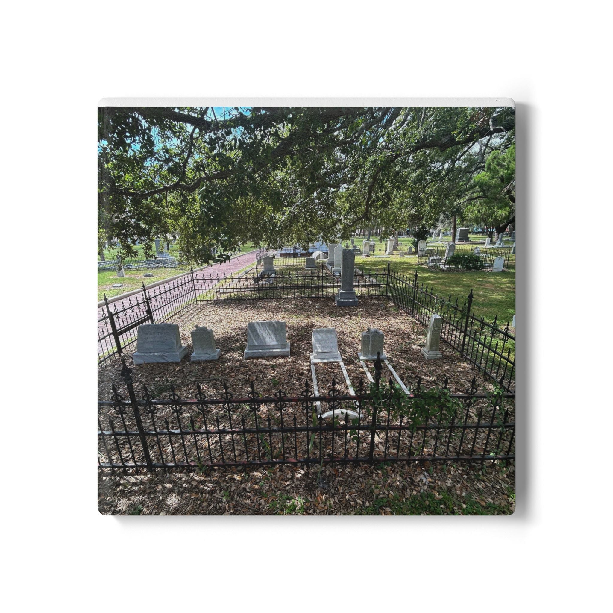 “Tampa Resting Place” Coaster