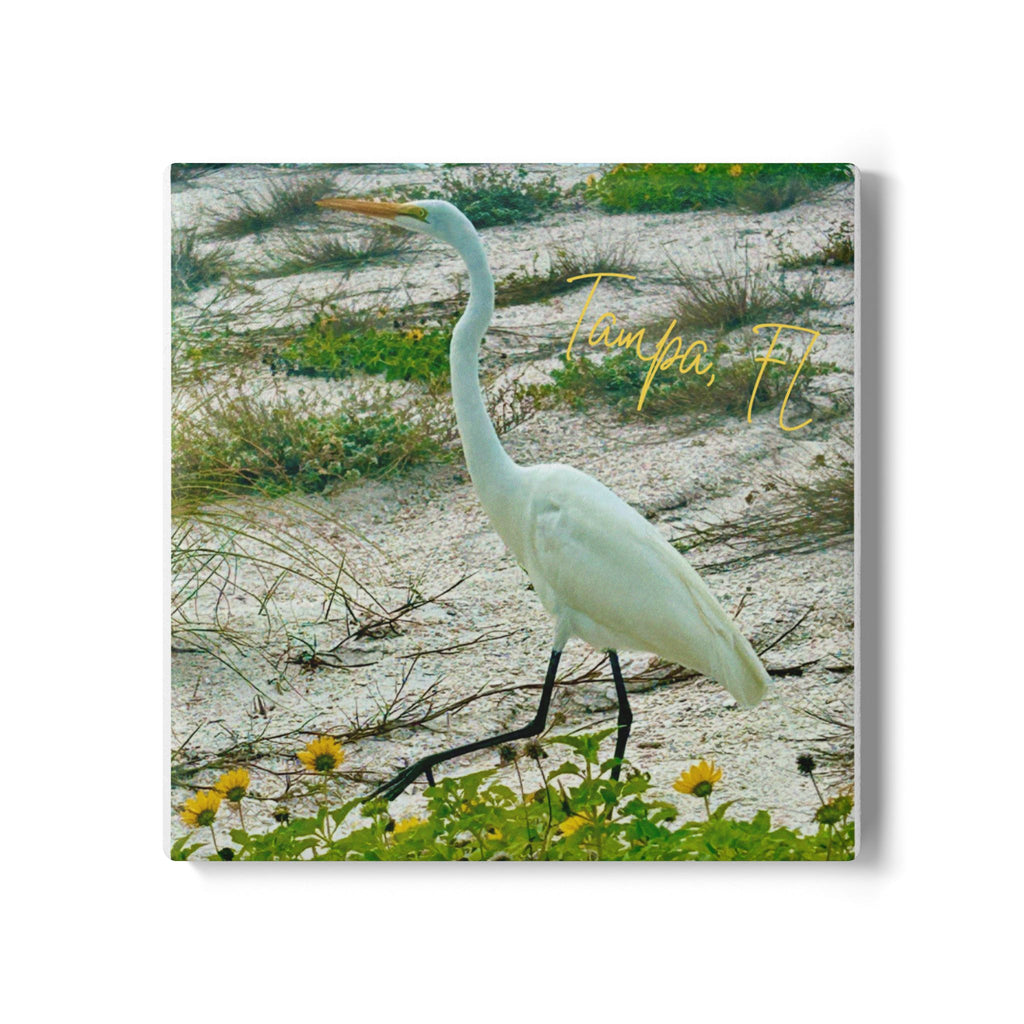 Great Egret at Tampa Beach Coaster