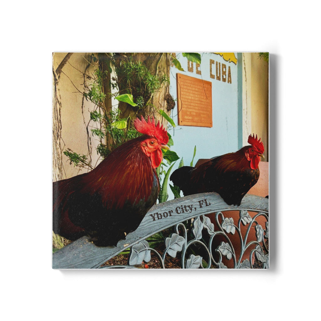 Ybor City Roosters on the Bench Coaster