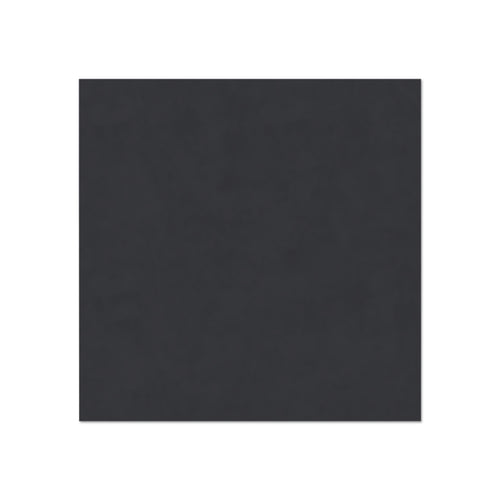 City of Tampa Mural Magnet