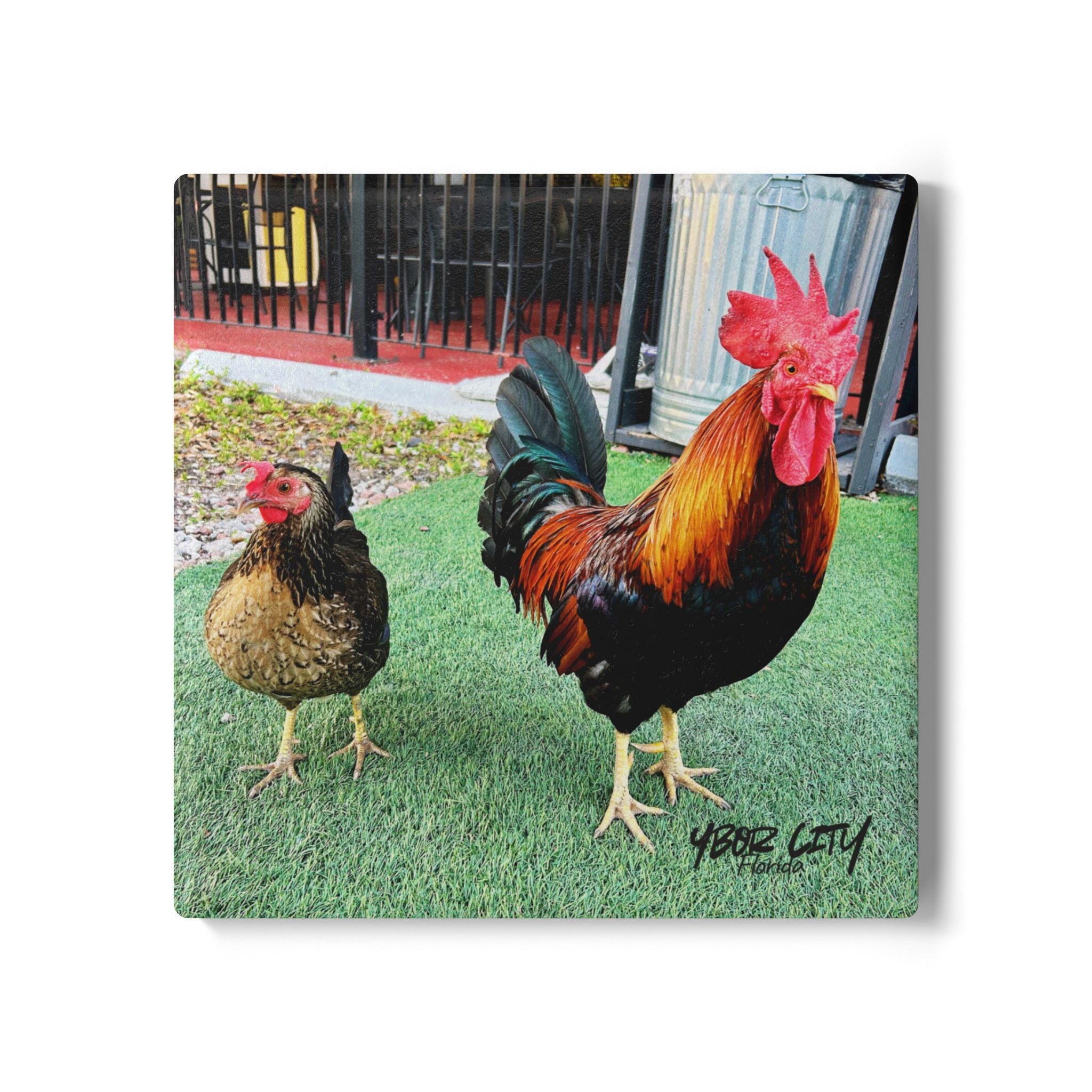 Ybor Rooster Duo Coaster