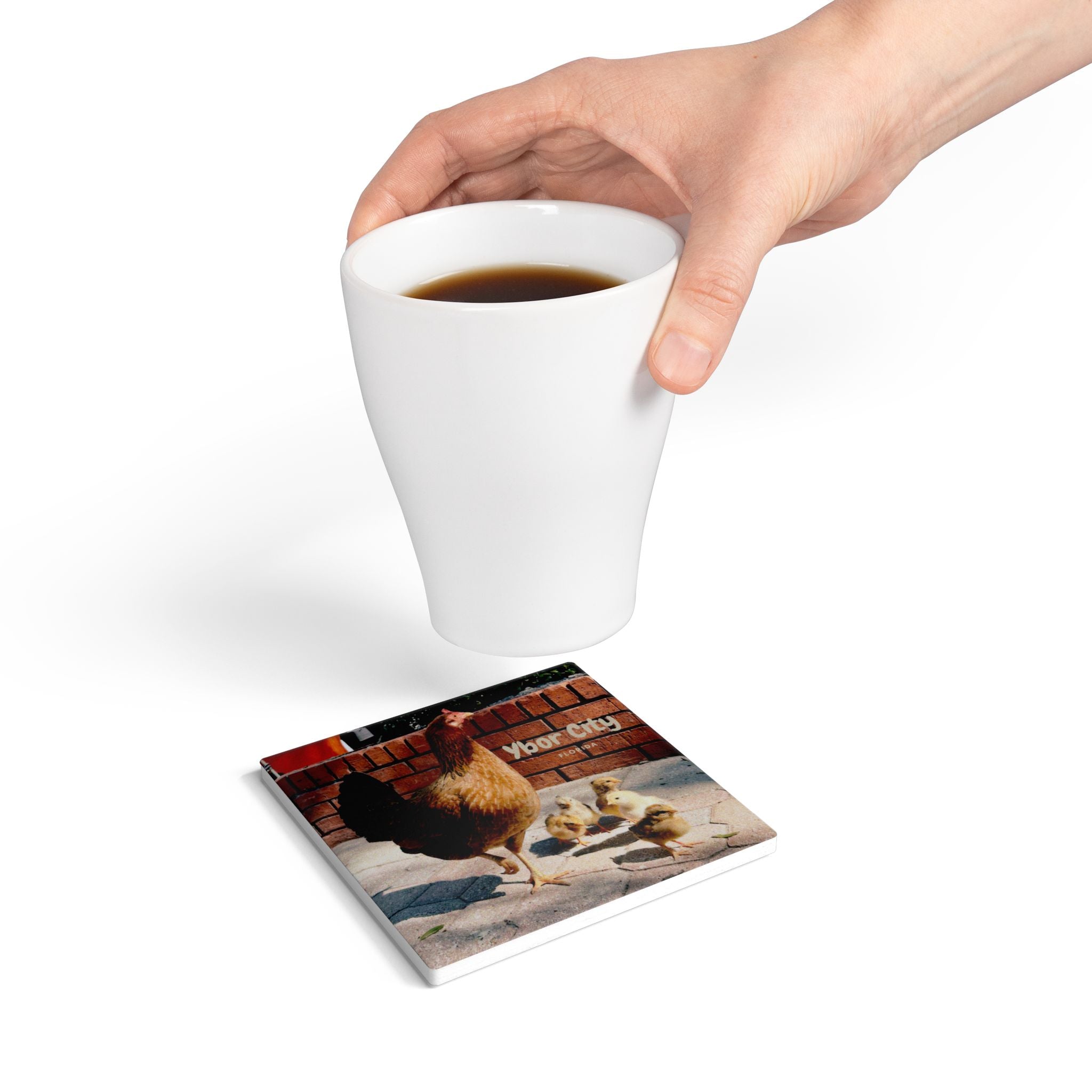 Ybor City Hen & Chicks Coaster