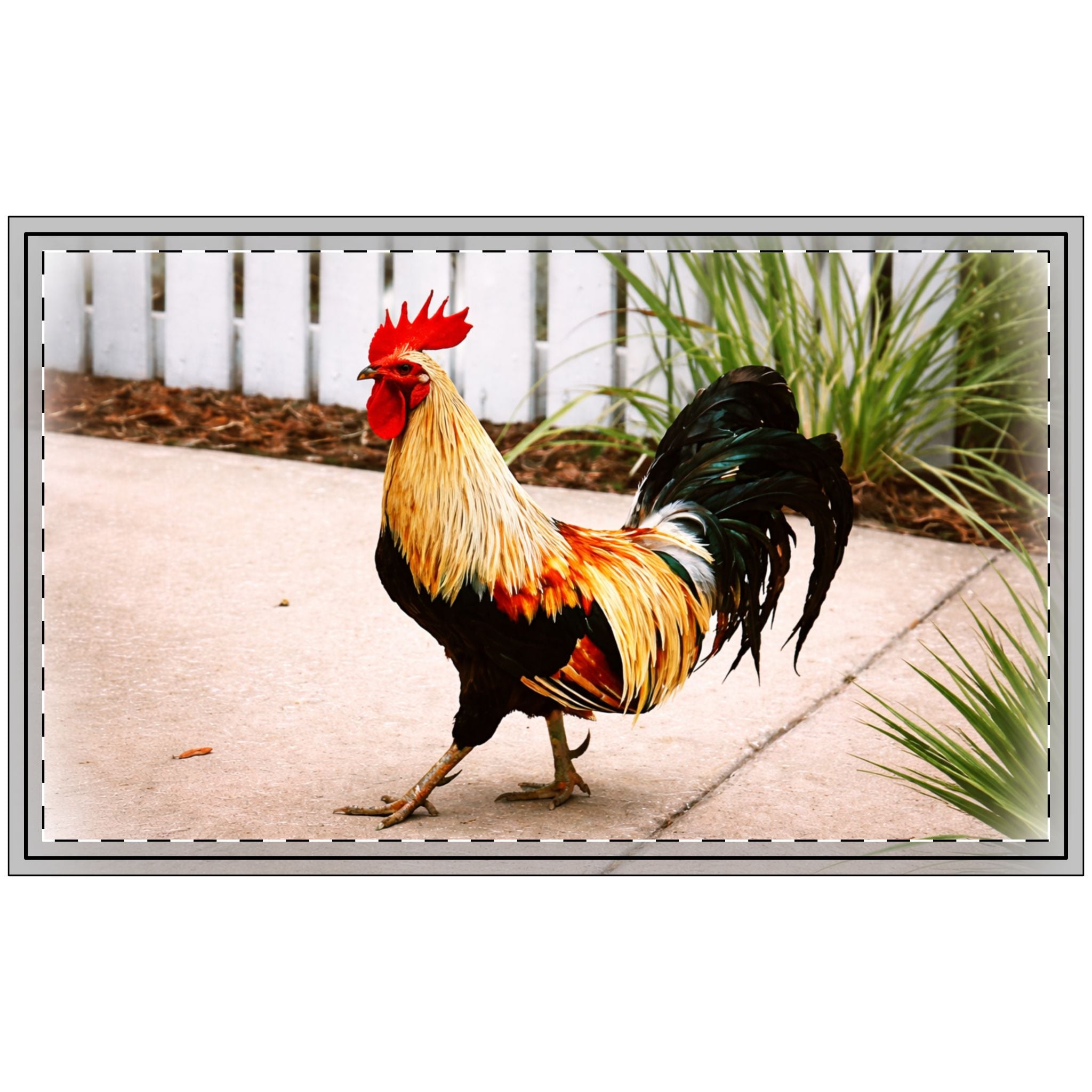 Colorful Rooster Doormat