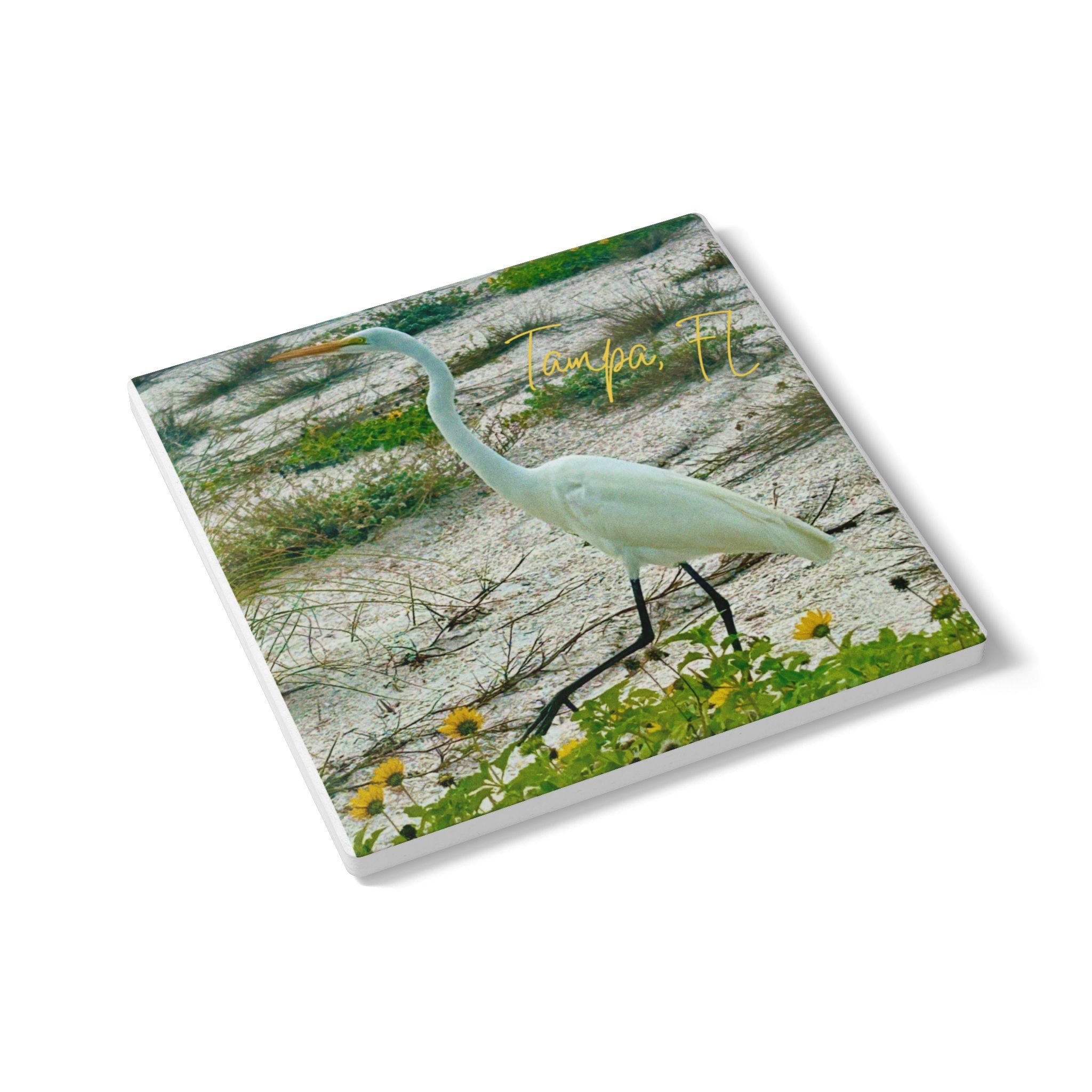 Great Egret at Tampa Beach Coaster