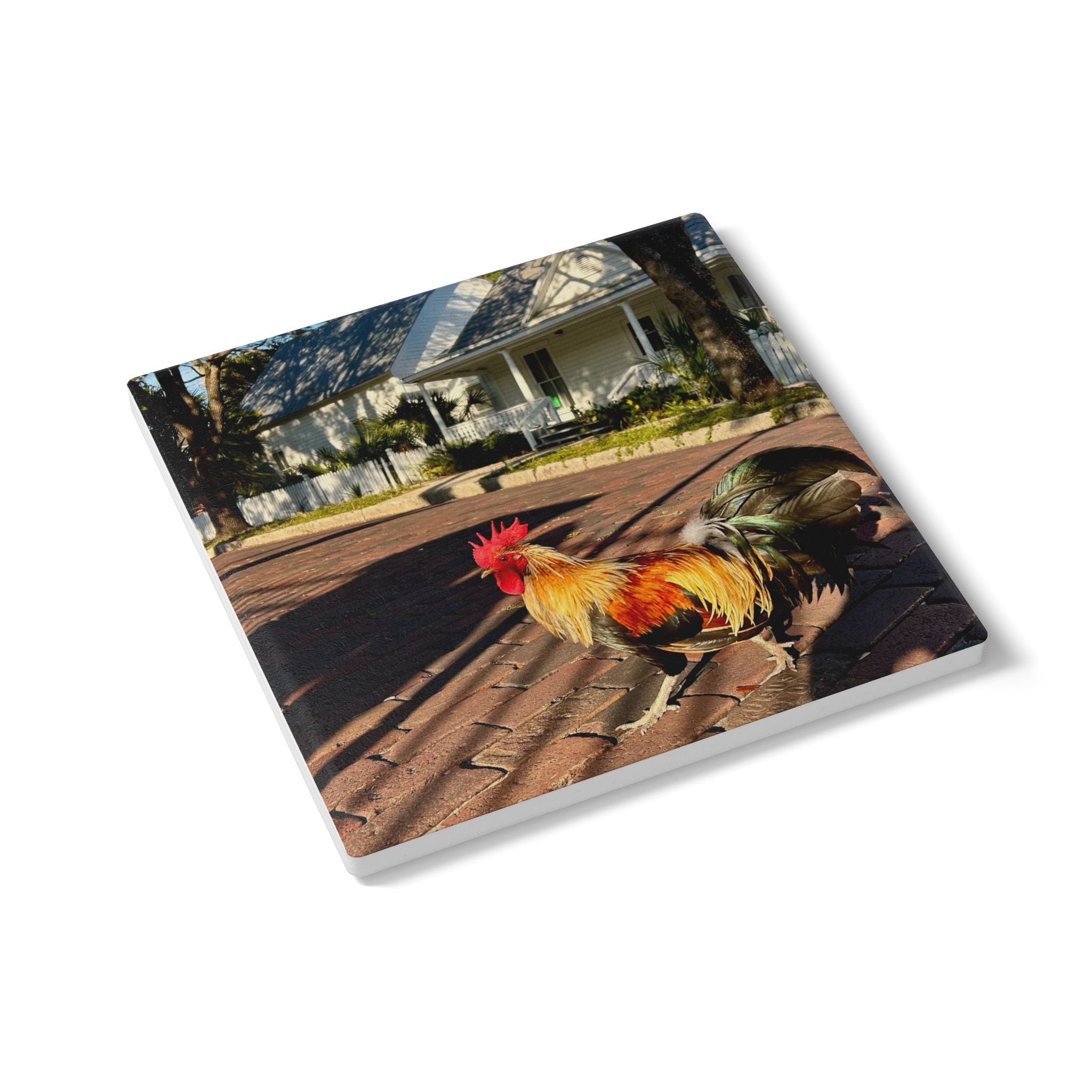 Ybor City Rooster & Casitas Coaster