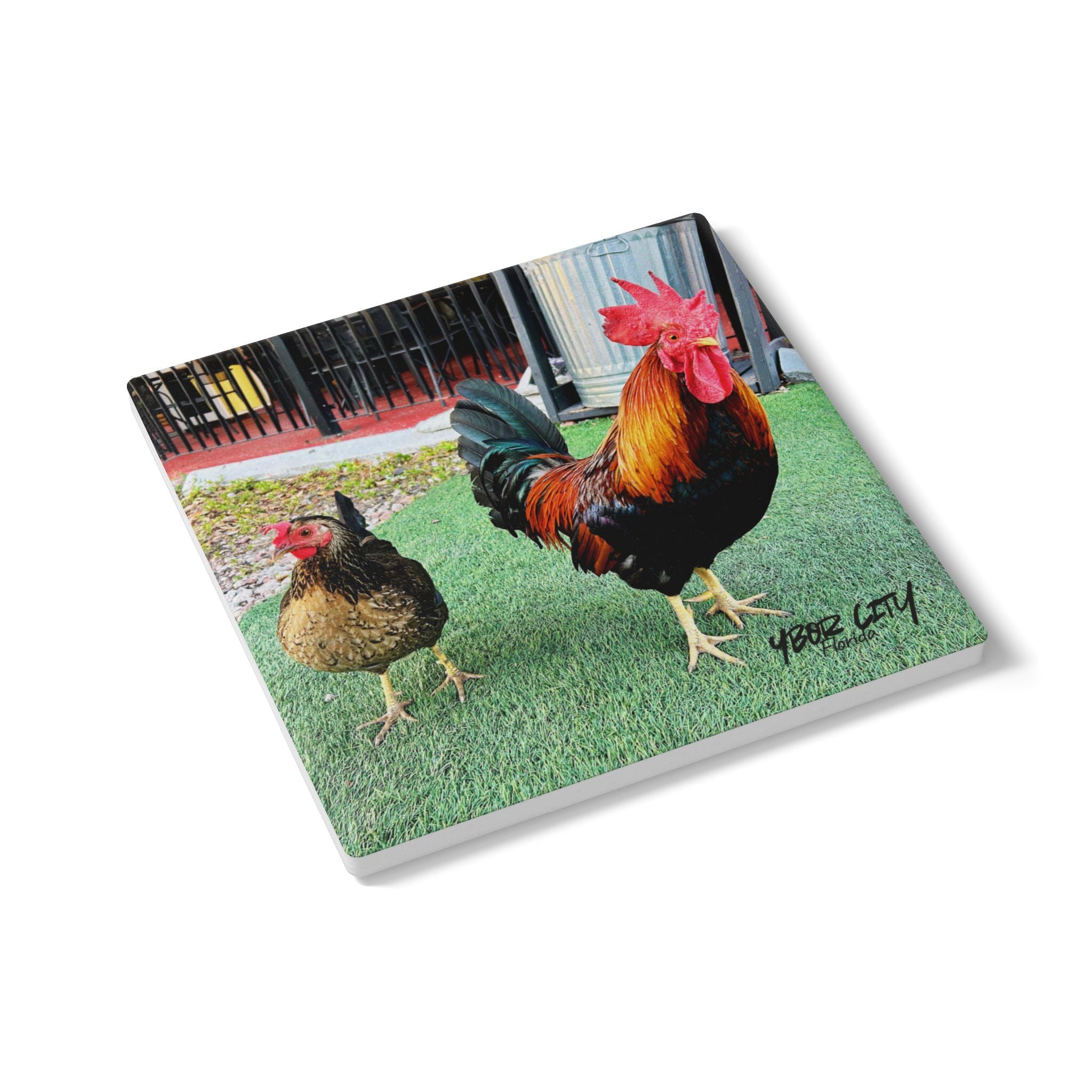 Ybor Rooster Duo Coaster