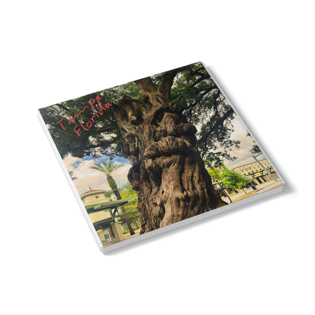 The Ancient Tree of Tampa Ceramic Coaster