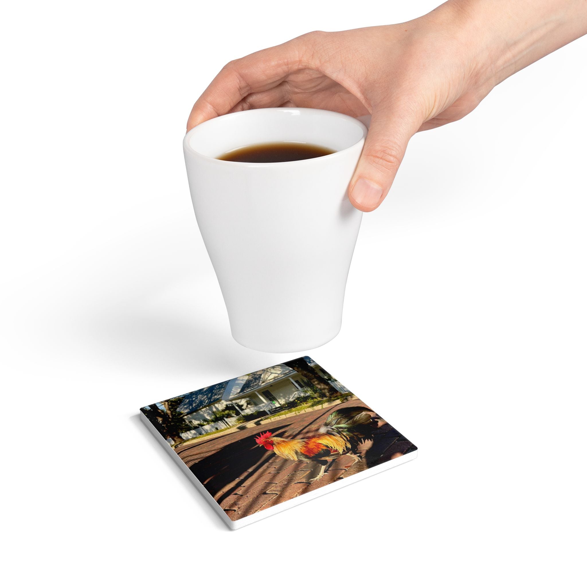 Ybor City Rooster & Casitas Coaster