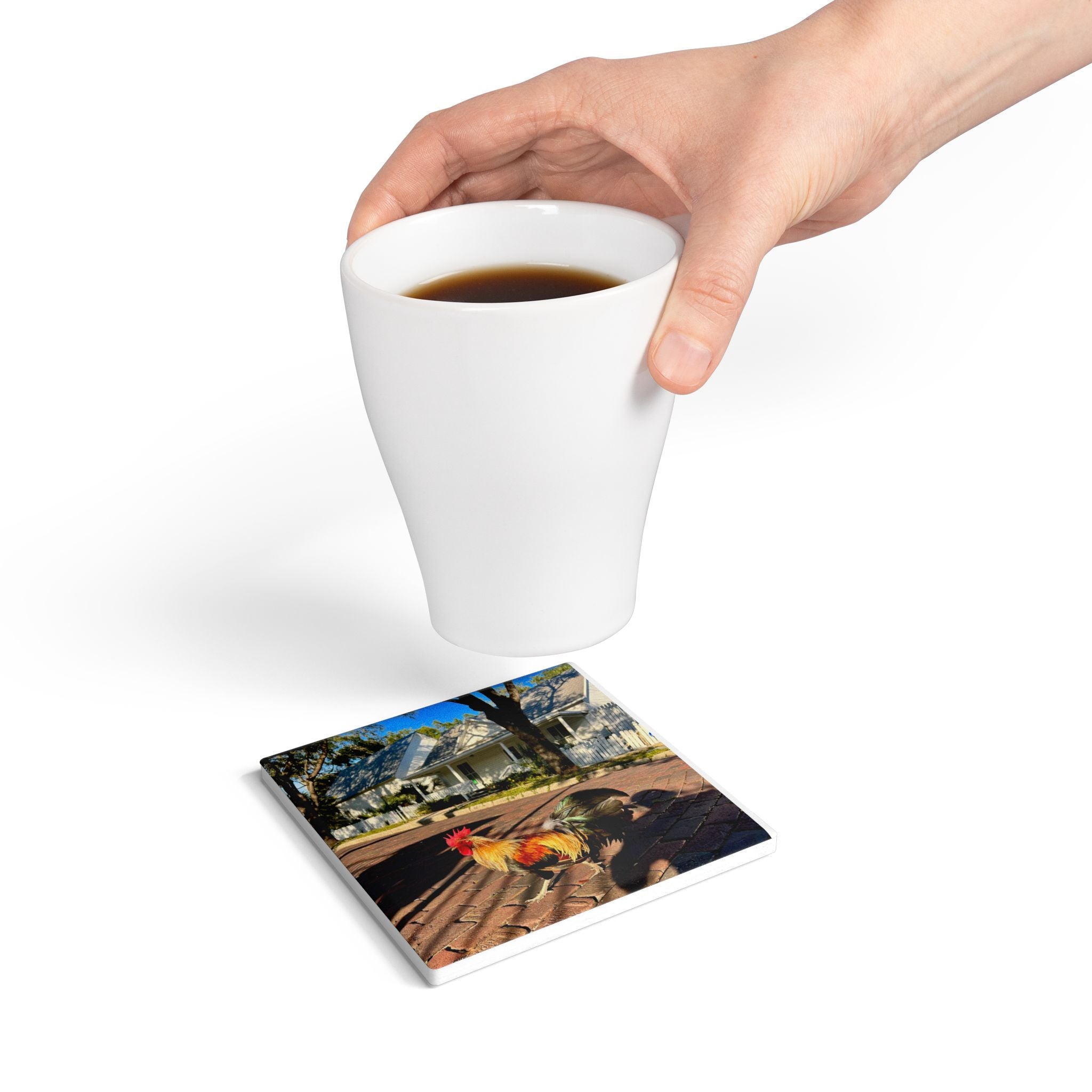 “Ybor Neighborhood Roosters” Coaster