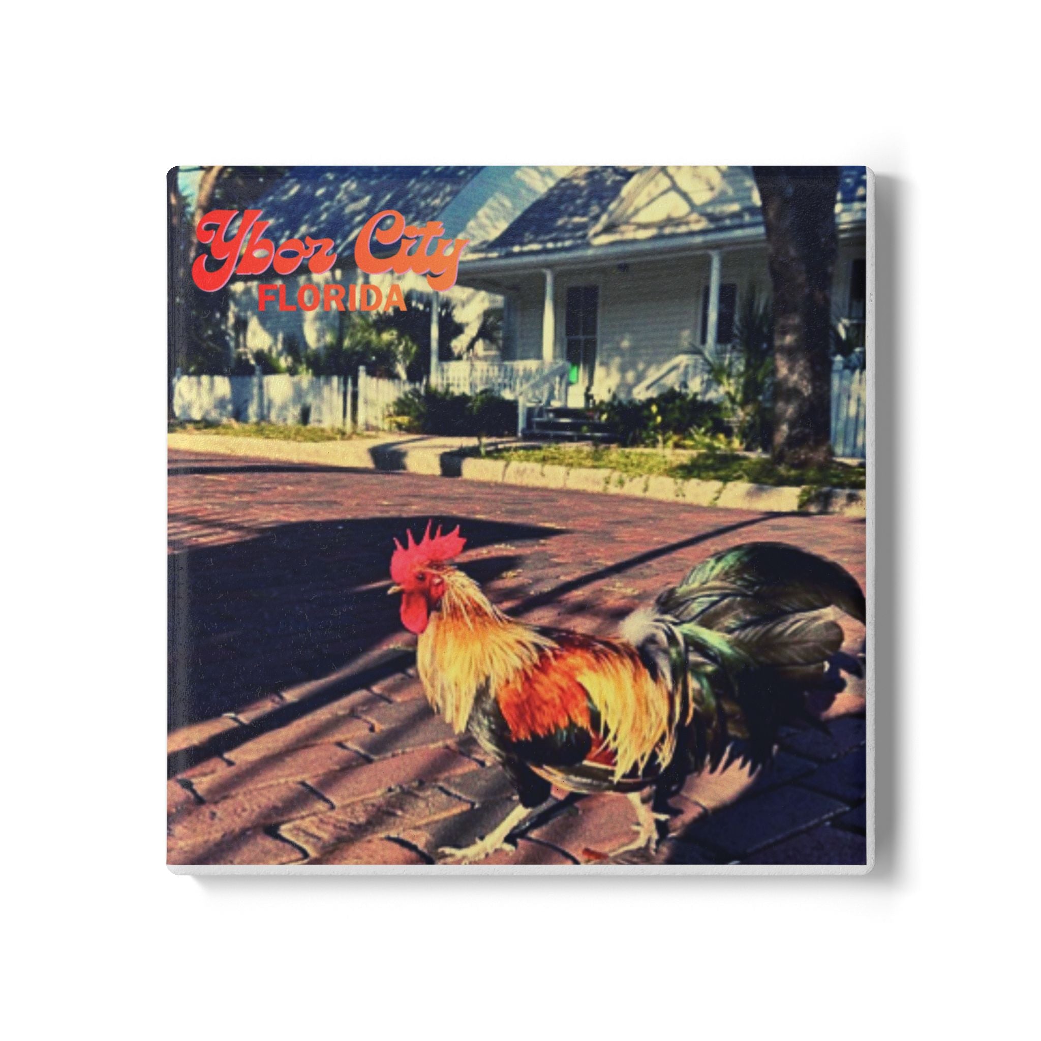 Ybor City Rooster on Brick Street Coaster