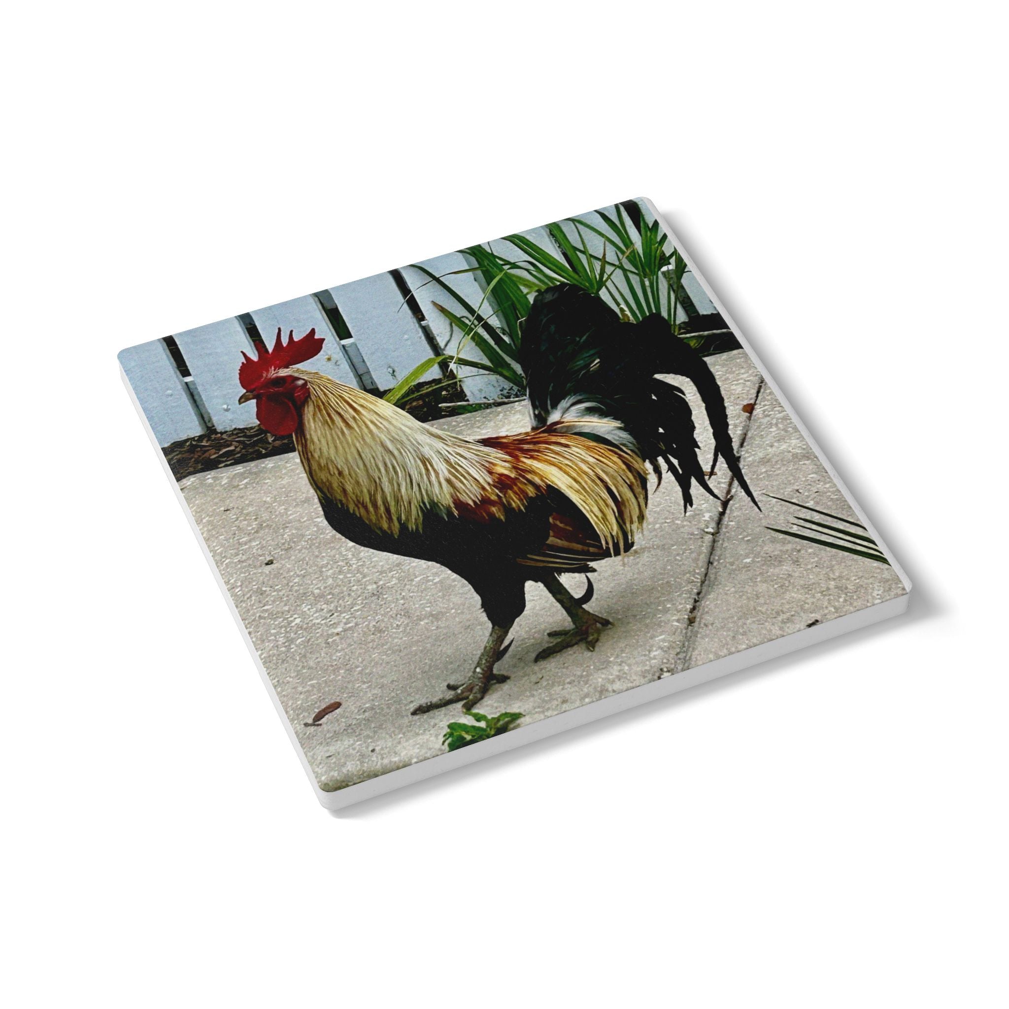 “Ybor Rooster” Coaster