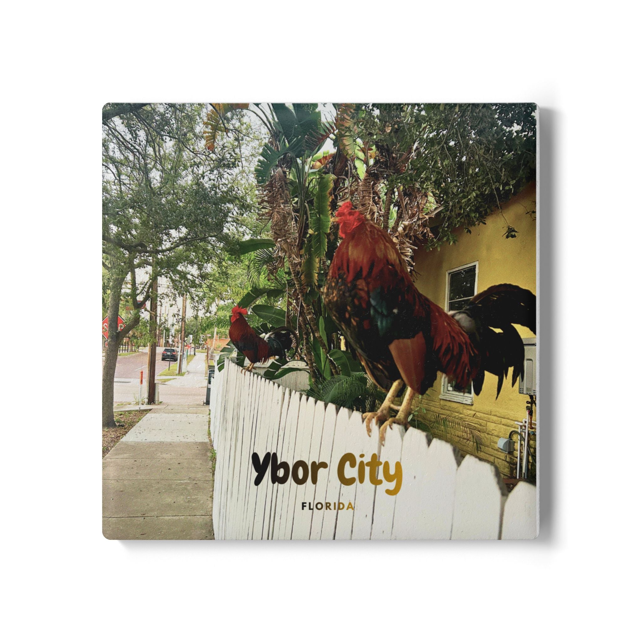 Ybor City Rooster Fence Coaster