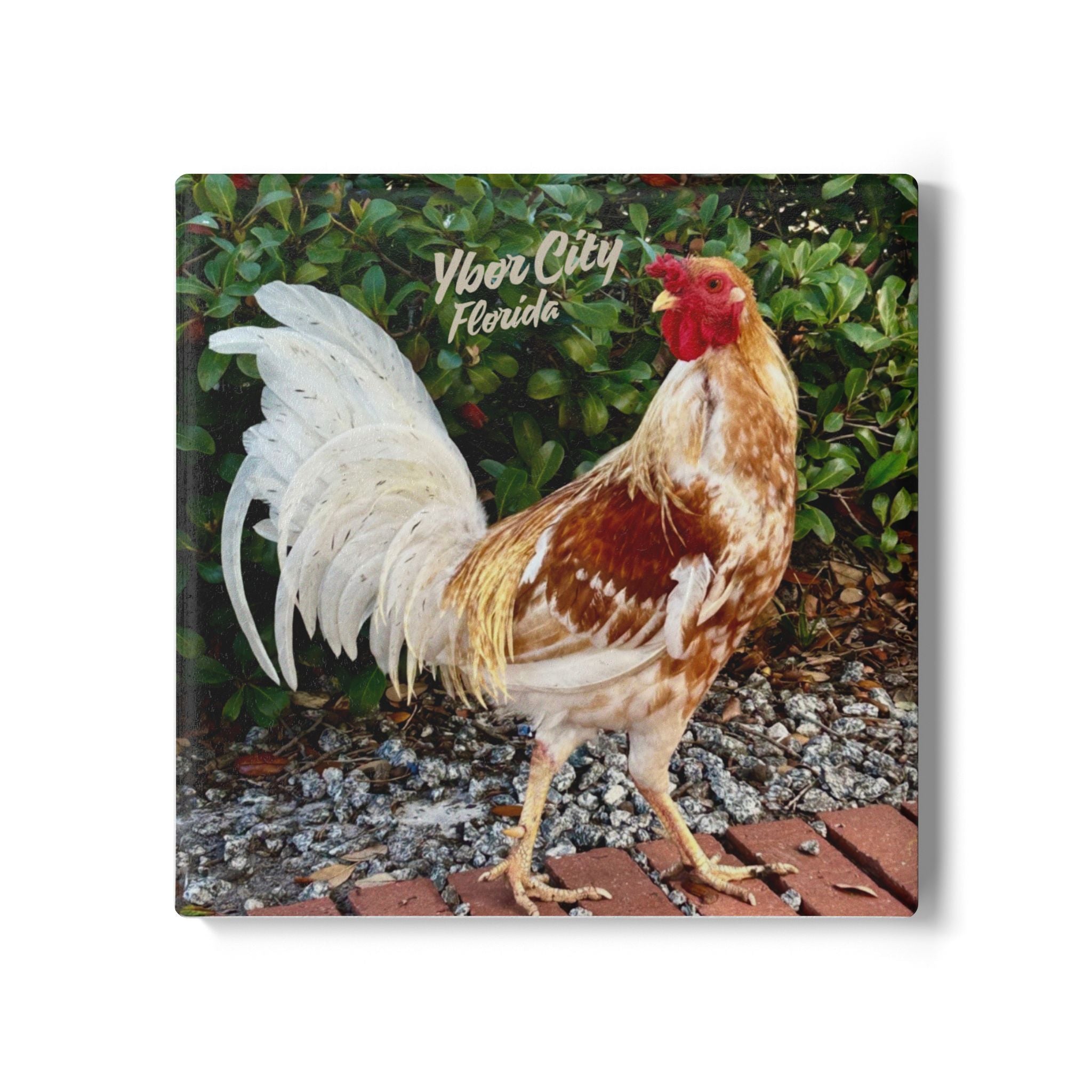 White Rooster of Ybor Ceramic Coaster