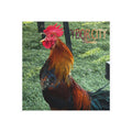 Ybor City Rooster Magnet
