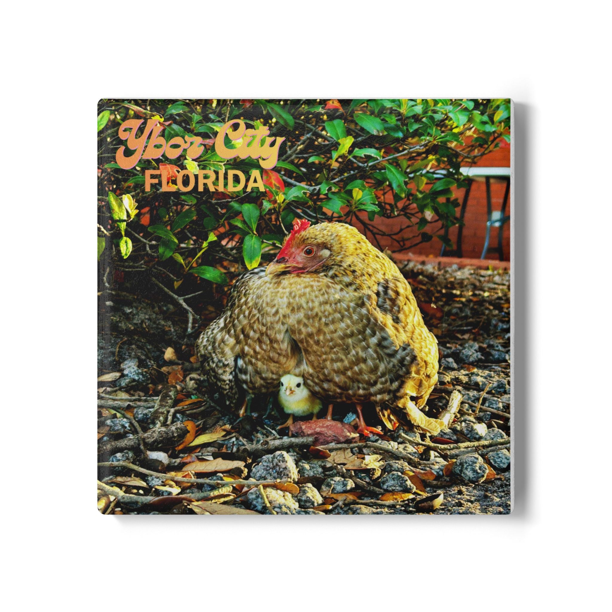 Ybor City Hen & Chick Coaster