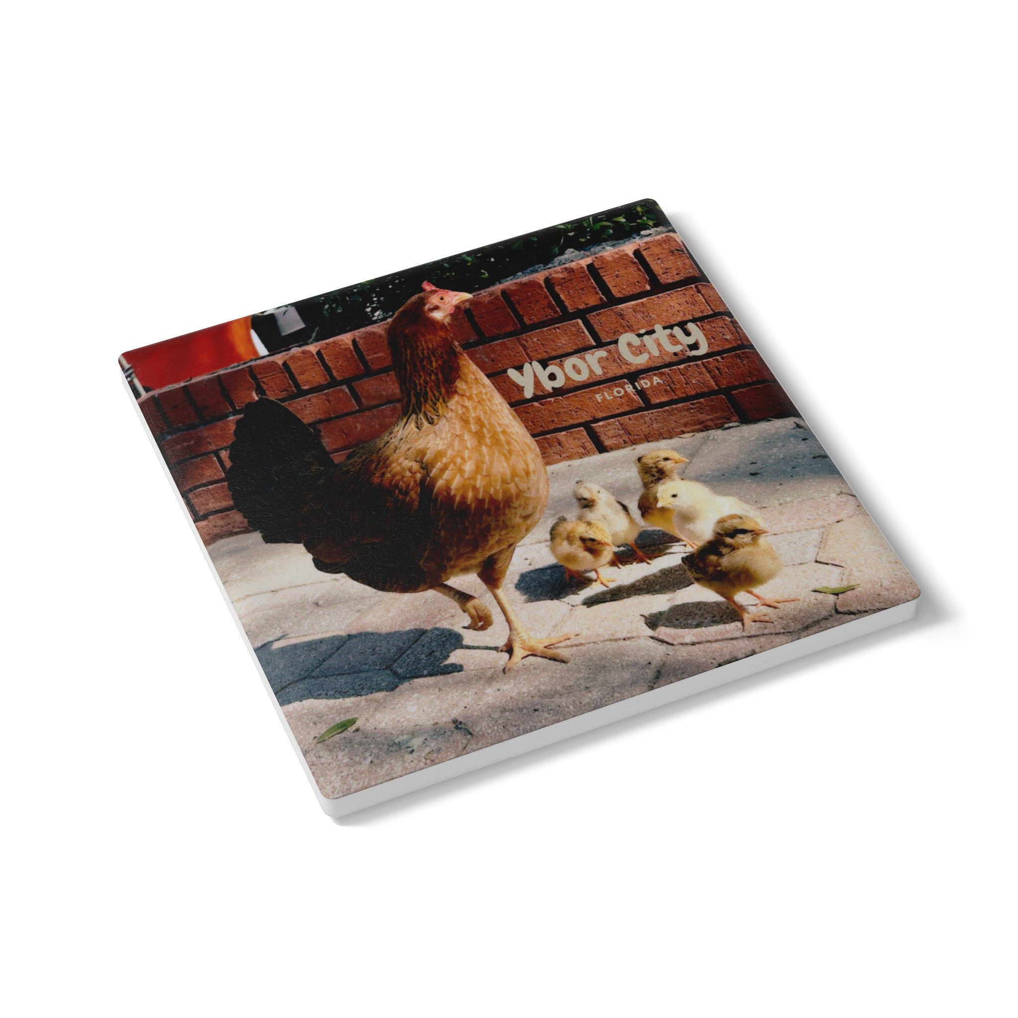 Ybor City Hen & Chicks Coaster