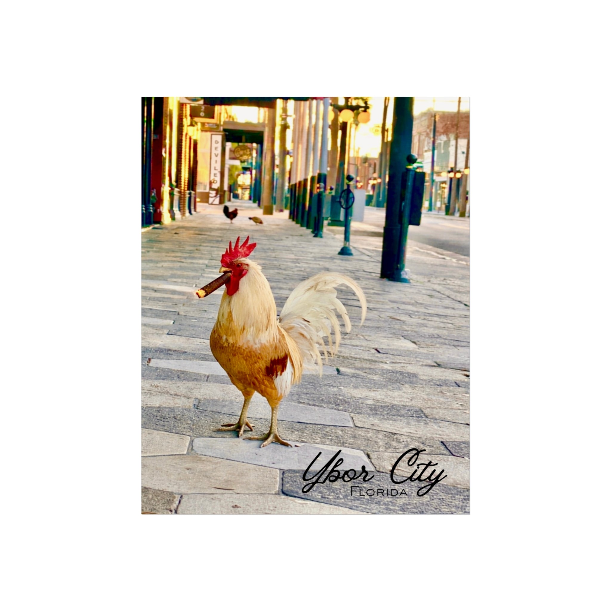Ybor City Rooster on 7th with Cigar Wall Art