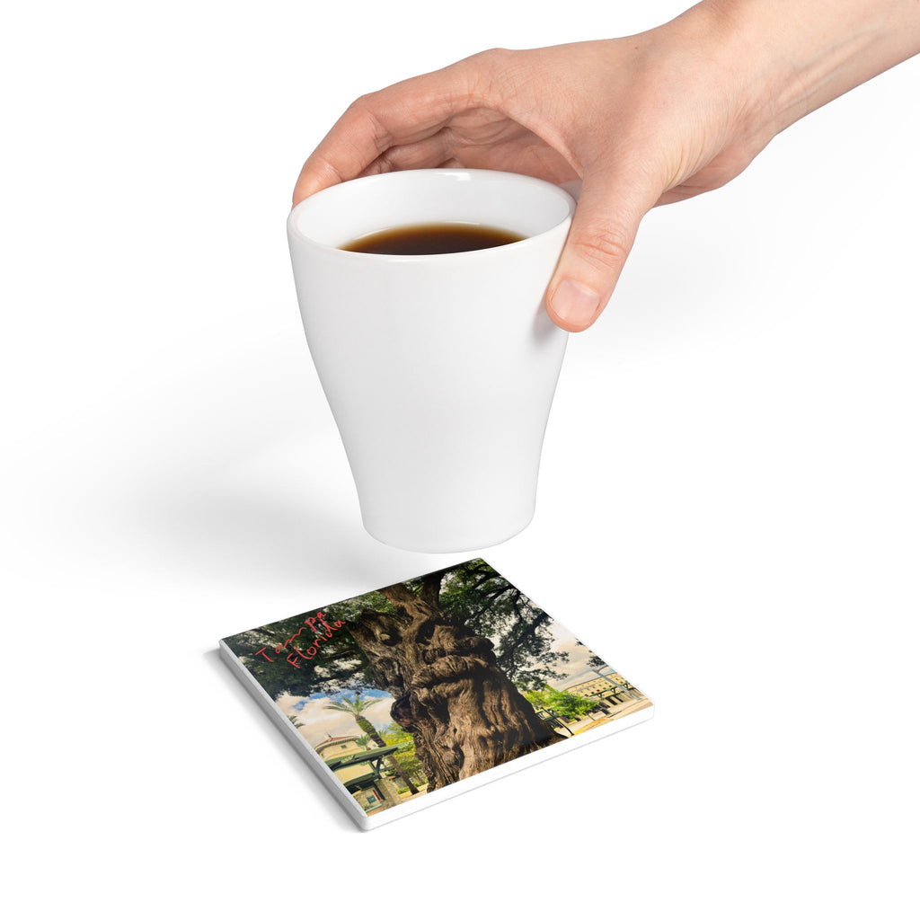 The Ancient Tree of Tampa Ceramic Coaster