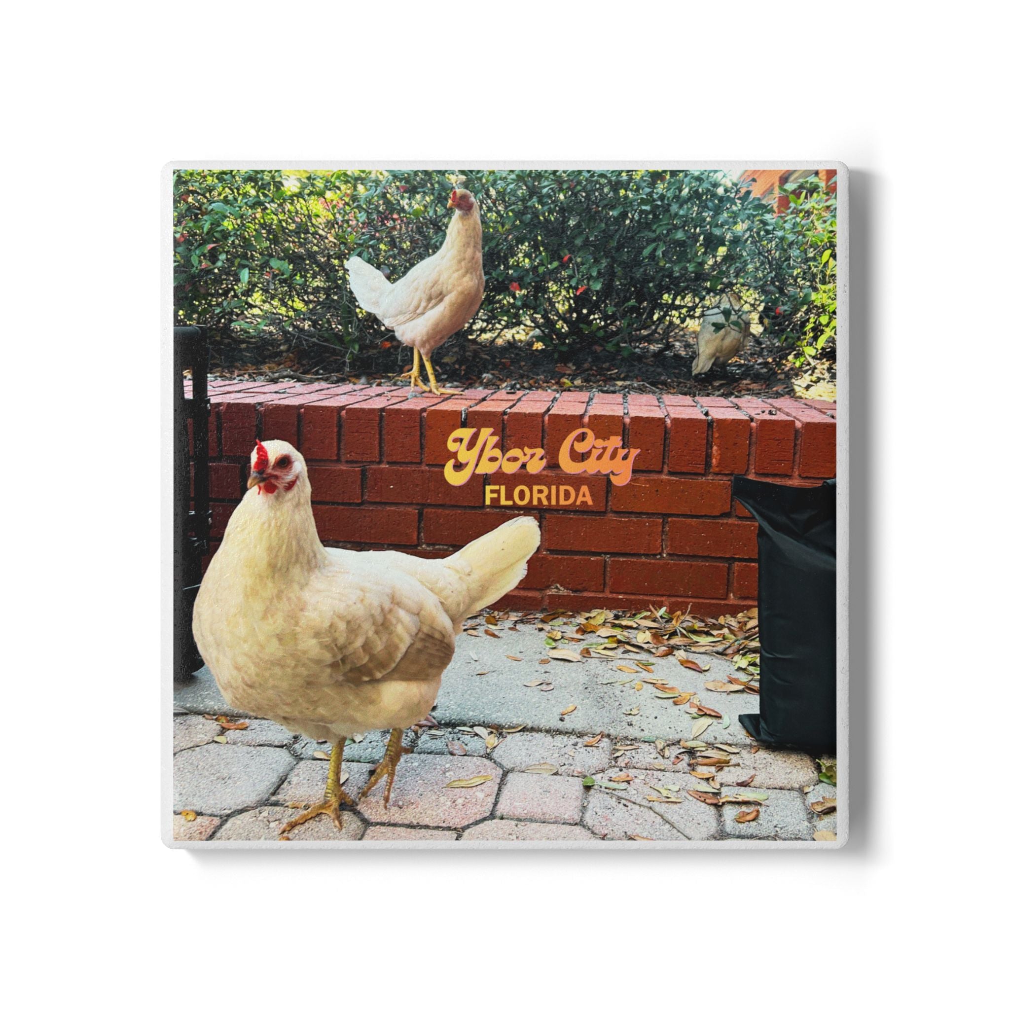 Ybor City Chicken Sisters Coaster