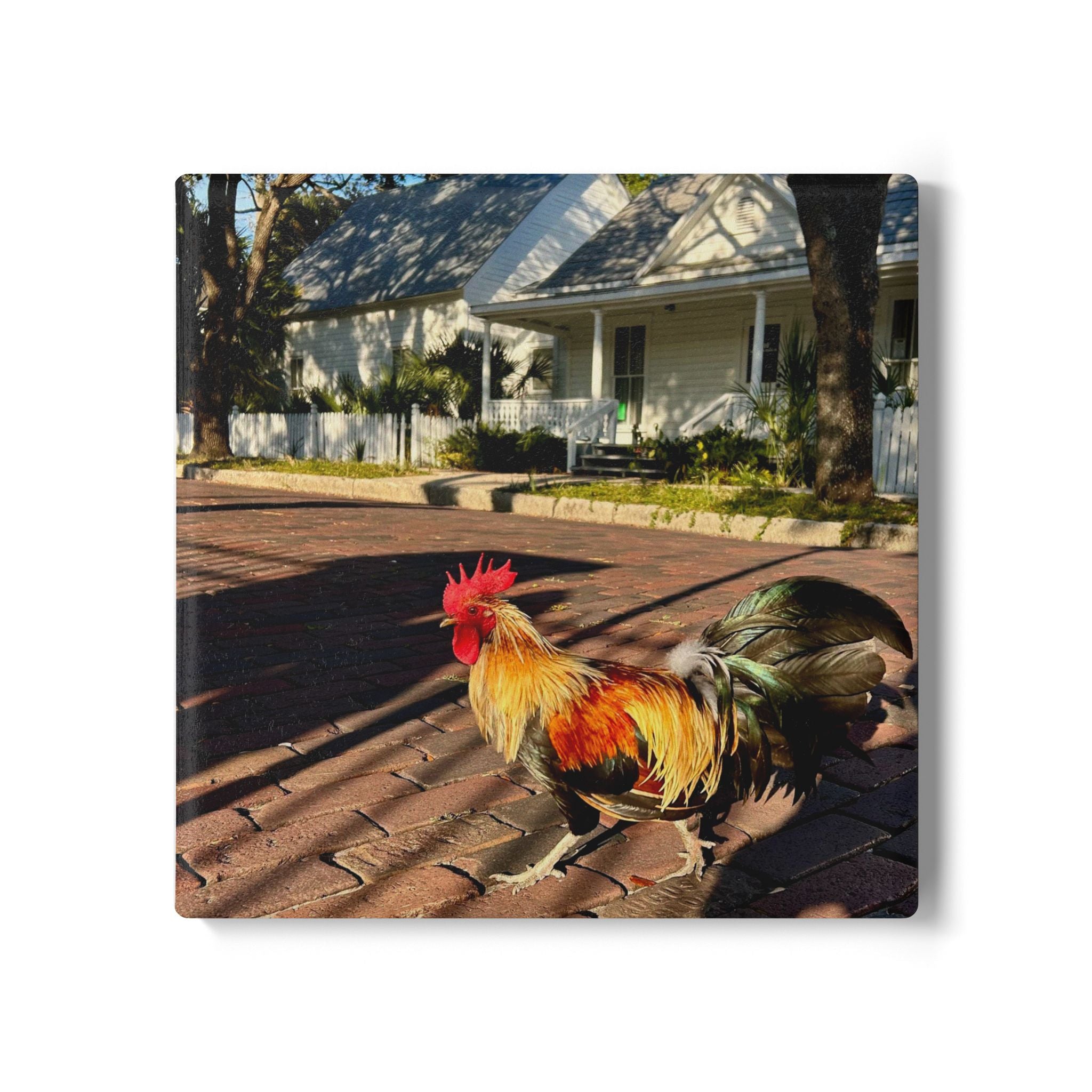Ybor City Rooster & Casitas Coaster