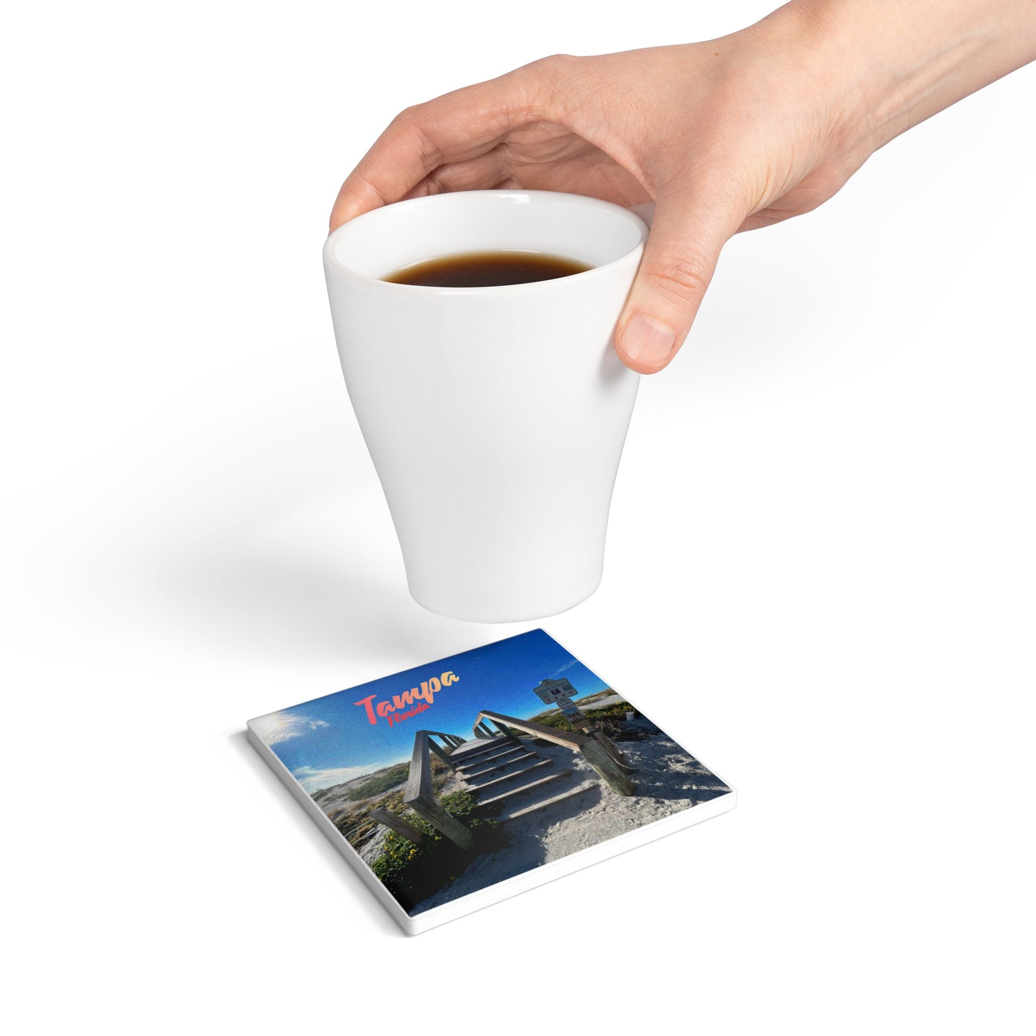 Tampa Florida Beach Access Coaster