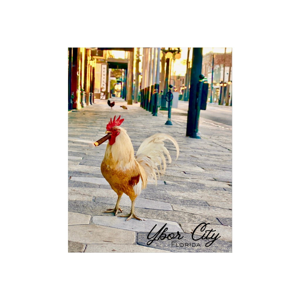 Ybor City Rooster on 7th with Cigar Wall Art