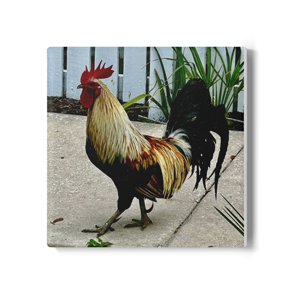 “Ybor Rooster” Coaster