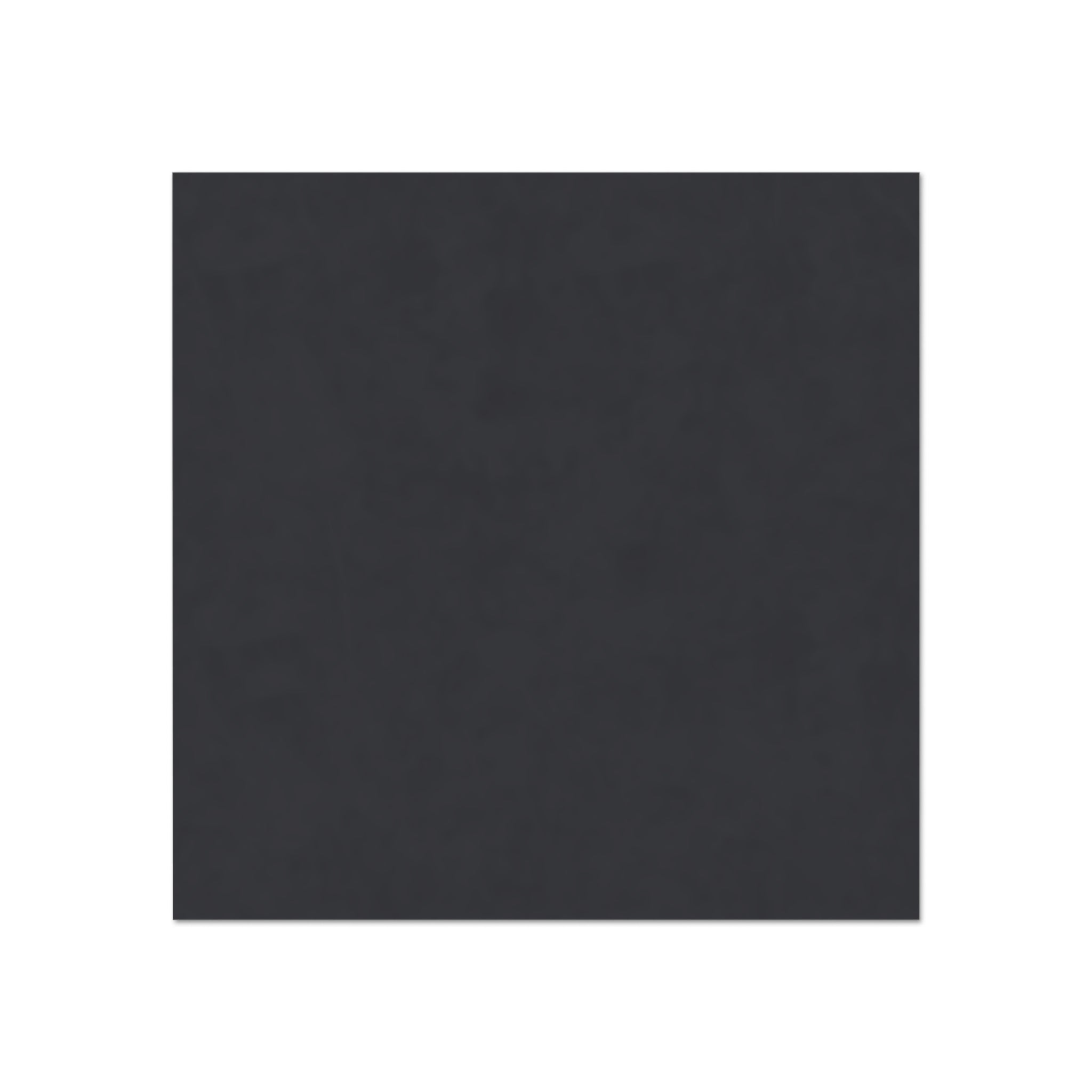 Tampa Florida Beach Access Magnet