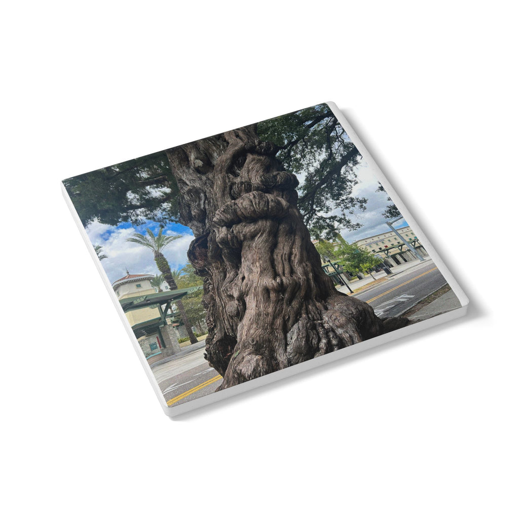 “The Ancient Tree of Tampa” Coaster